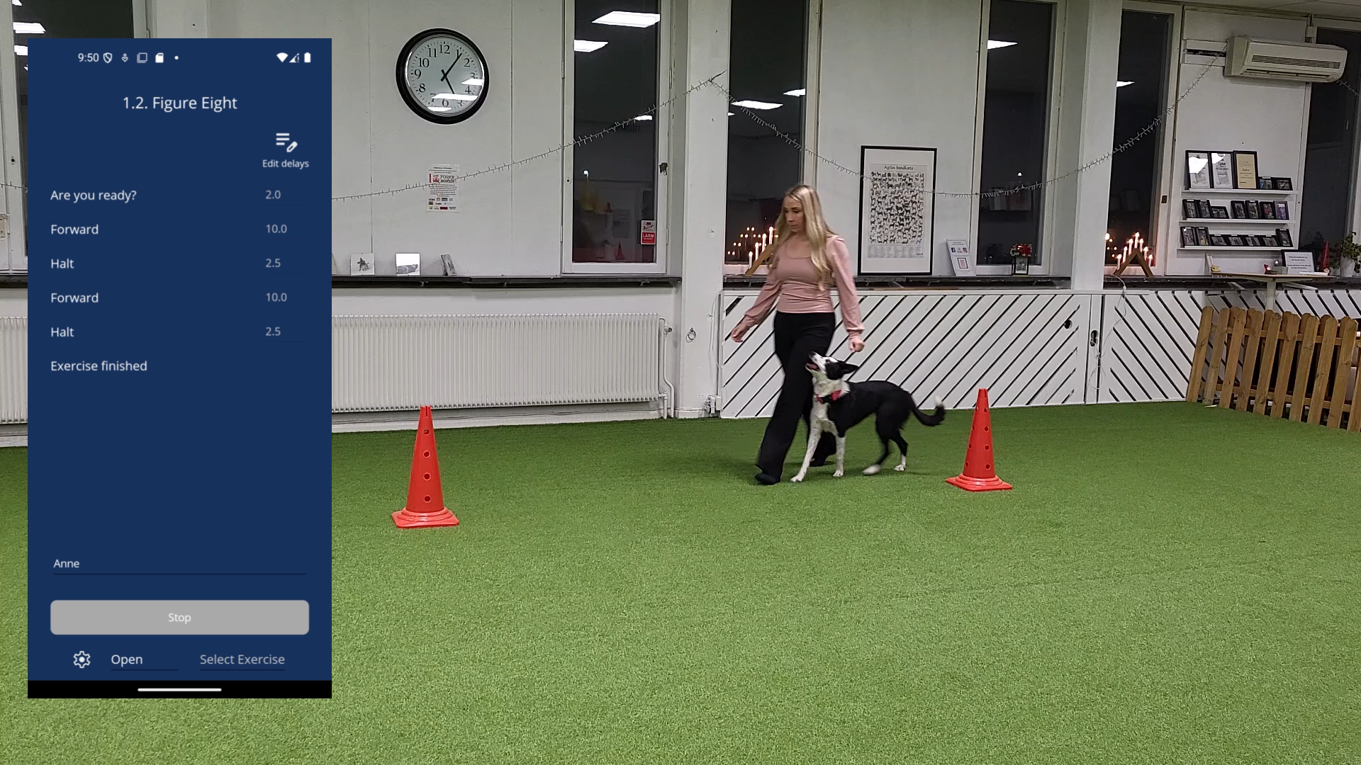 Figure 8 exercise screenshot