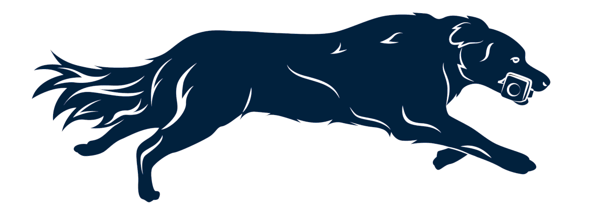 Dog training with Obedience Steward